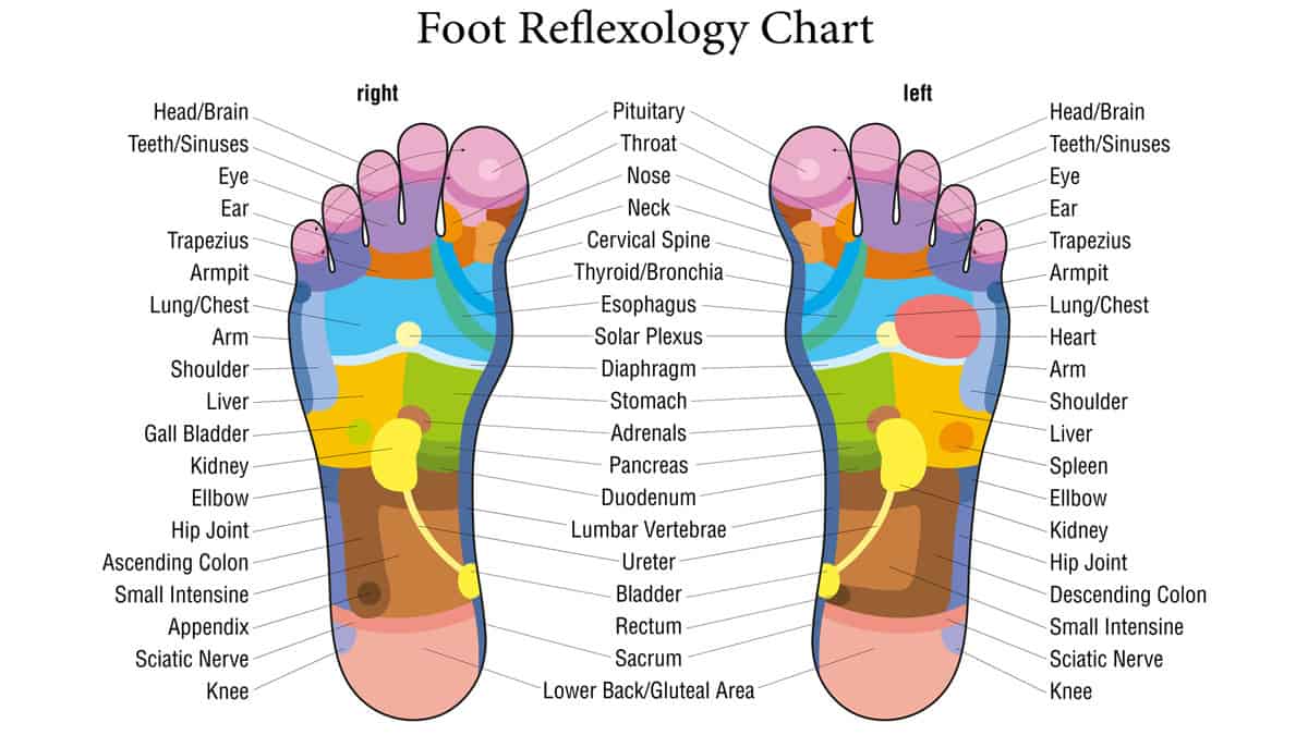 Diy Foot Massage : Diy Foot Massage / You should ask the massage ...