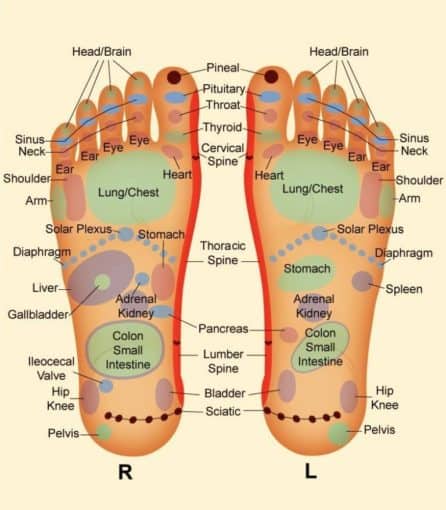 How to Do Your Own Reflexology Foot Massage at Home - Massage Gear Guru