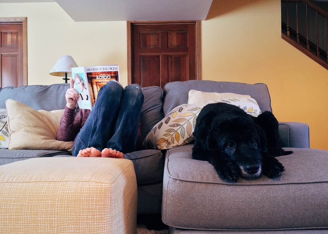 a person relaxing in the comfort of their own home with a dog