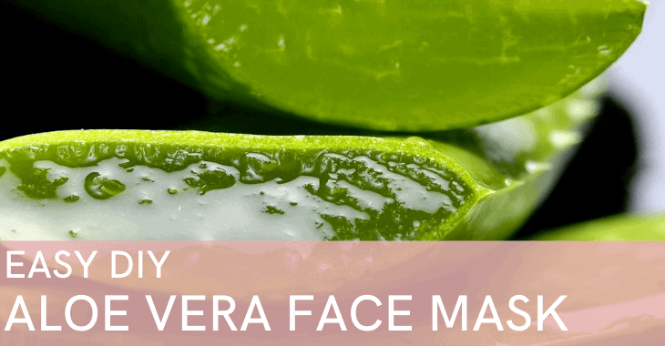 aloe plant with text overlay "easy diy aloe vera face mask"