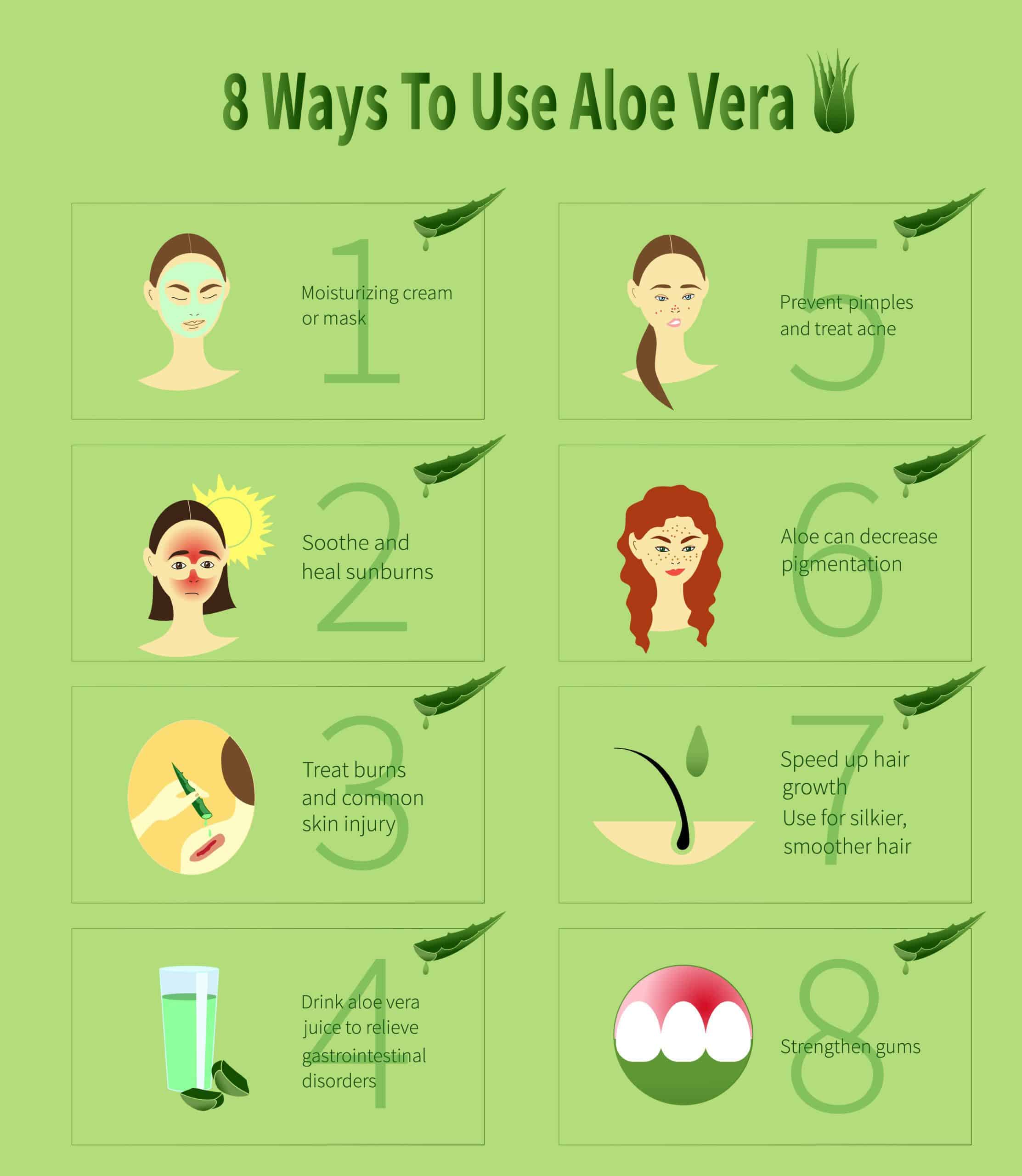 Aloe Vera infographic.Ways To Use Aloe Vera.